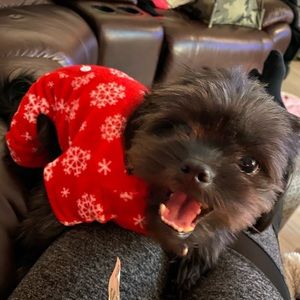 Meet your Posher, Anna